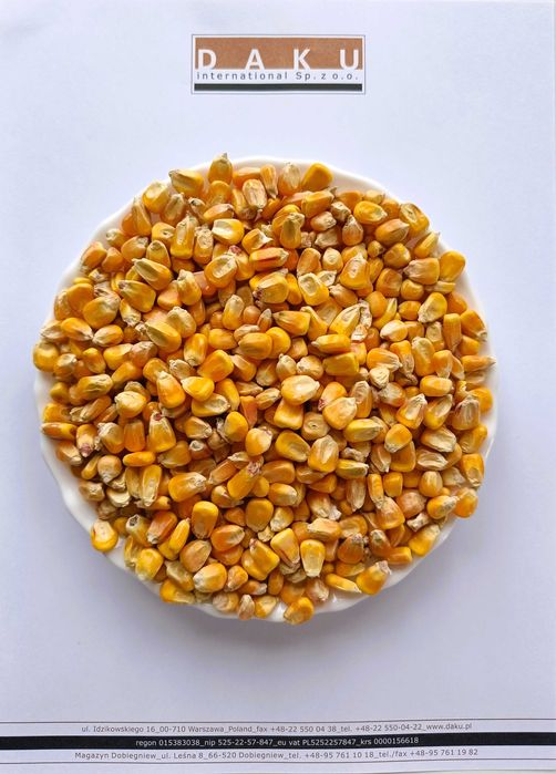 Kukurydza Groch Łubin Zboża worek 25kg