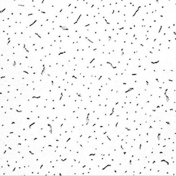 Плита підвісної стелі Laguna 600*600*10мм