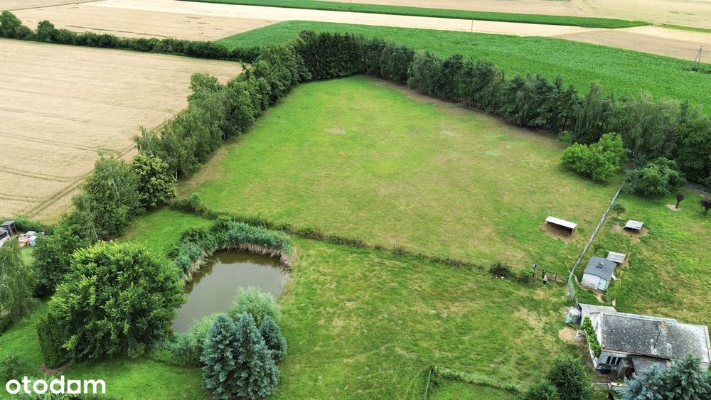 Działka budowlana- Brzóstownia |Książ Wlkp. | WZ|POZNAŃ-JAROCIN - Widok 2