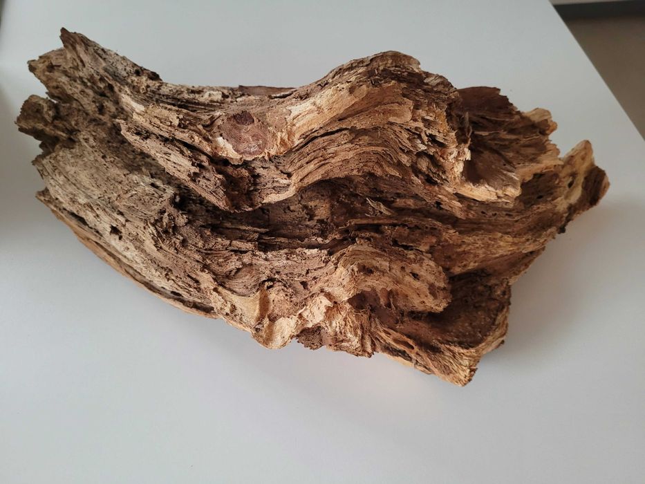 Duży naturalny korzeń do akwarium / terrarium - dł. 55 cm