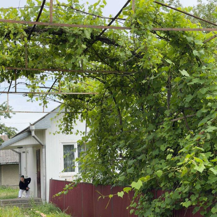 Під державні програми та Ваучери. Будинок в с. Старі Кривотули
