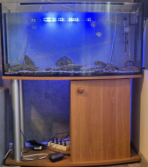 Akwarium 170l plus wyposażenie, ryby