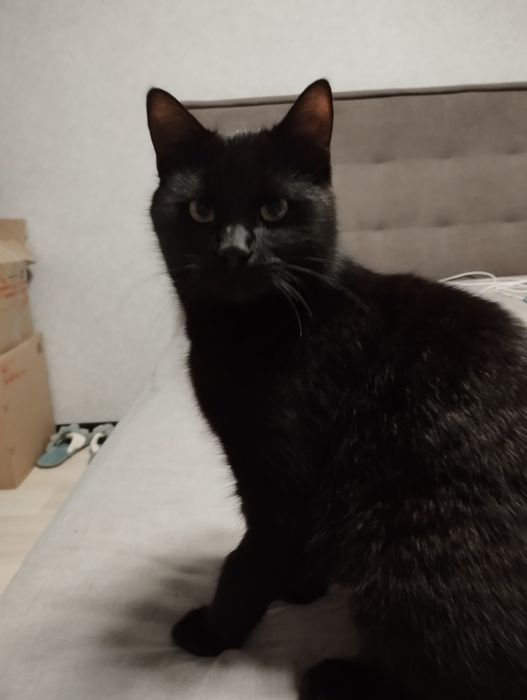 Ищу для Миши любящую семью.