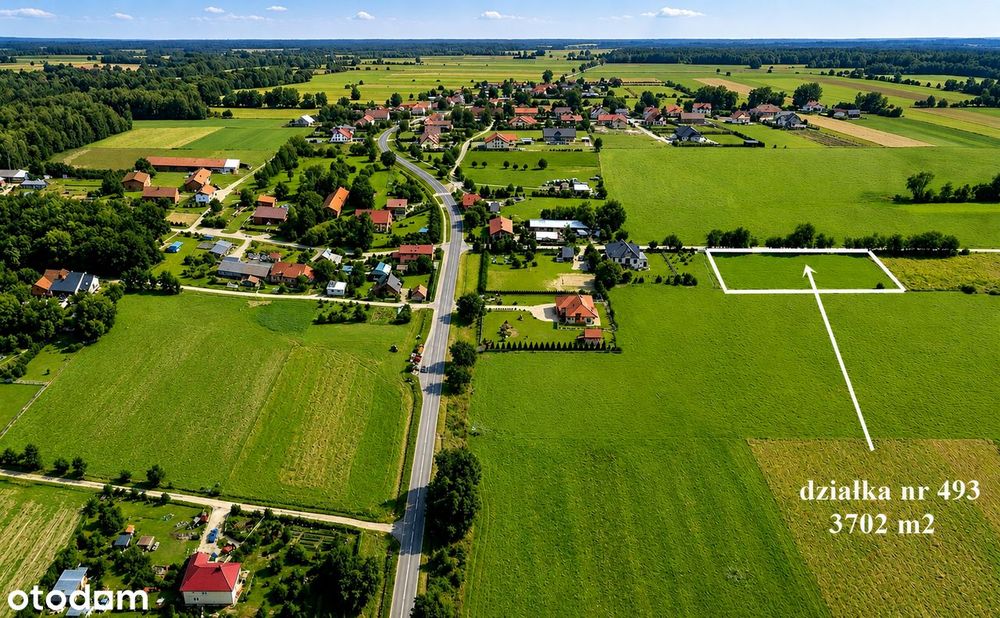 Działka siedliskowa las jezioro Stary dwór Dobre Miasto