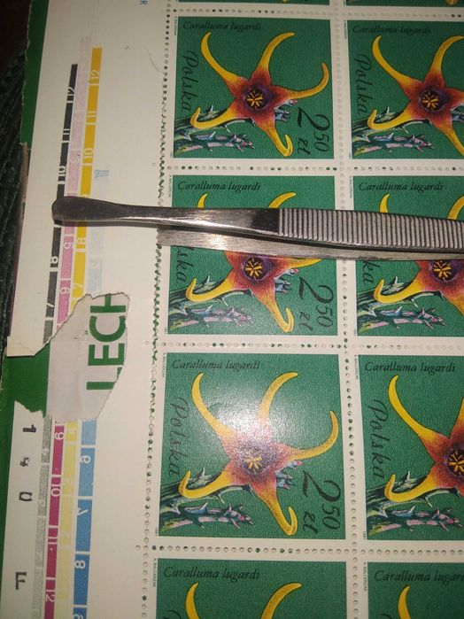 Arkusz,znaczek,znaczki polskie Fi 2640 Polska