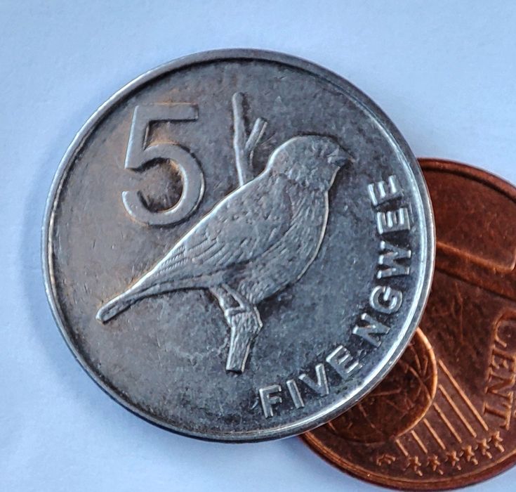 Moneta Zambia 5 ngwee.