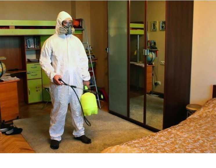 Дезінфекція приміщень (хостели, квартири)