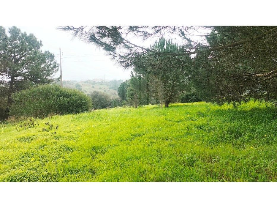 Terreno em Sesimbra, Castelo - Oportunidade de Investimento — Castelo (Sesimbra), Setúbal
