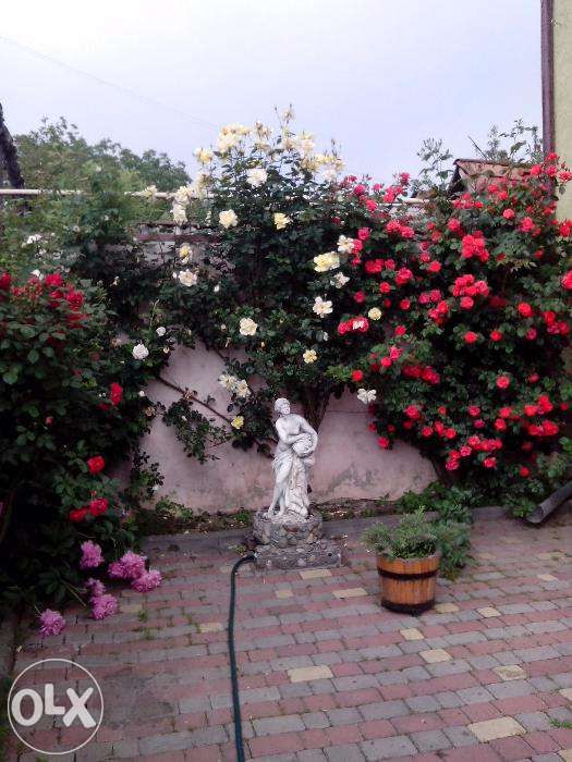 Здам частину будинку ціна за будинок!