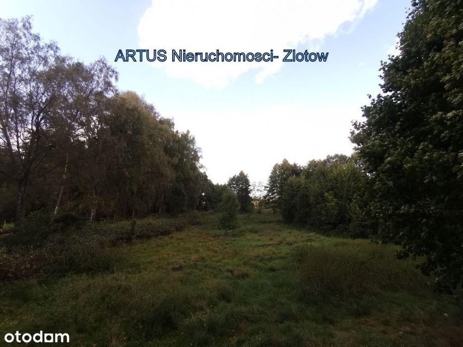 Działka przy strumieniu w pobliżu jezior- Złotów