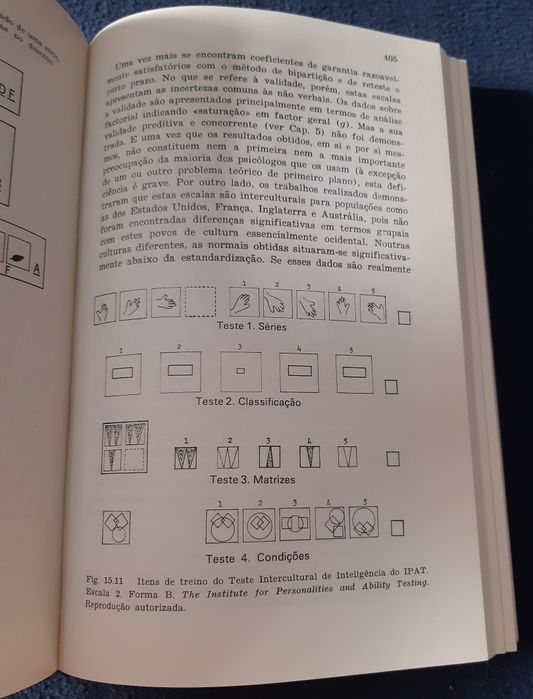 Teoria e Prática dos TESTES PSICOLÓGICOS