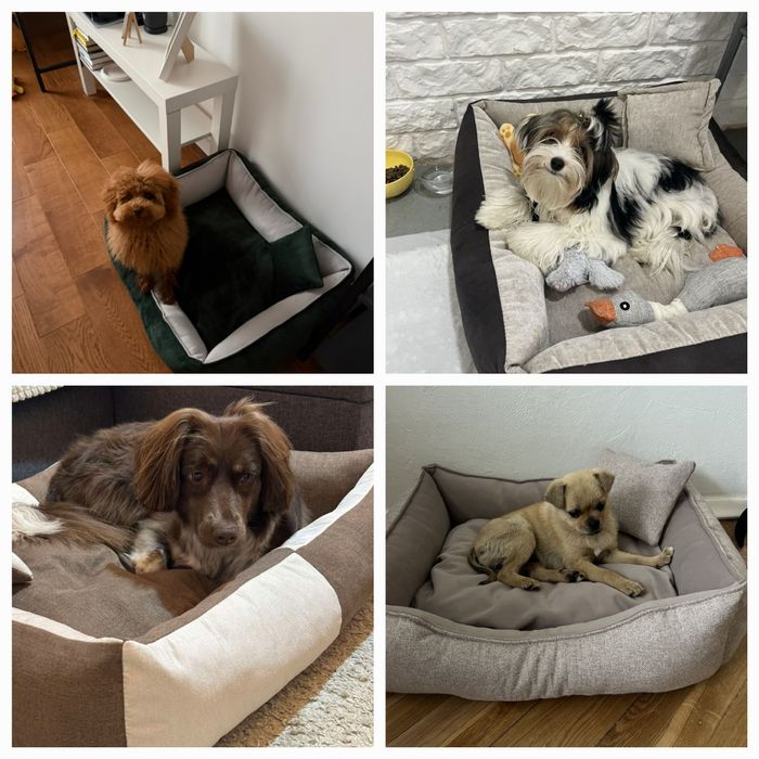 Лежанки для собак і котів