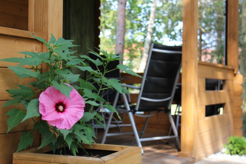 Domek letniskowy, Mazury, Ukta, noclegi, jacuzzi, sauna kajaki
