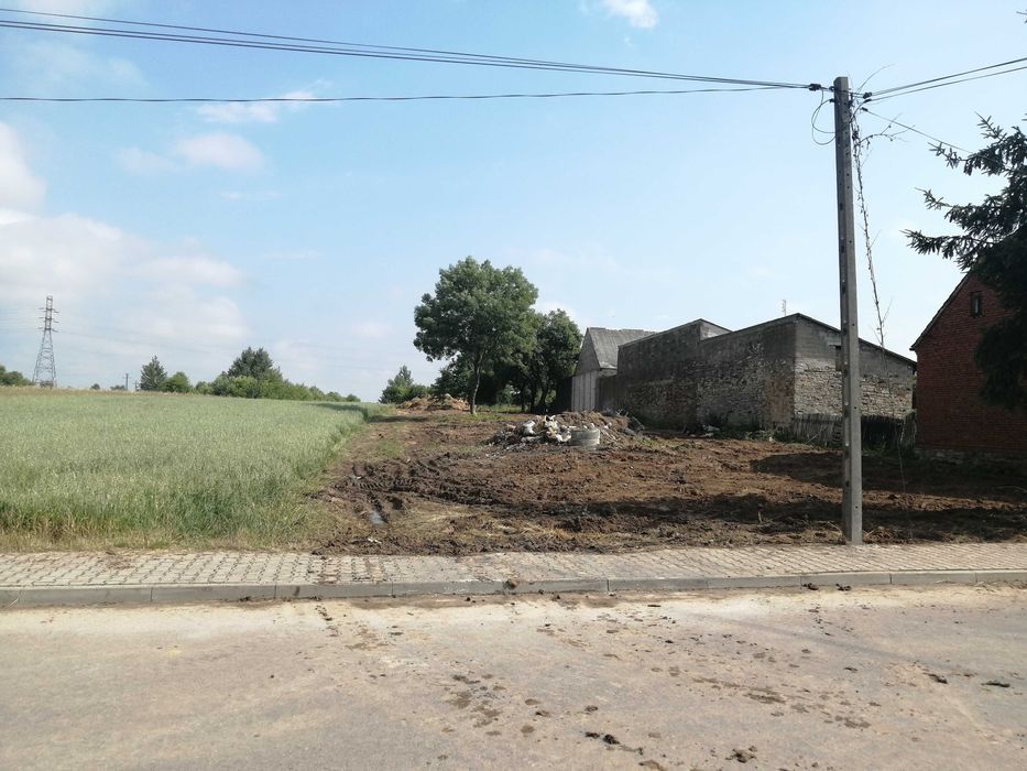 Wycinka drzew,Rozbiórka stodoły ,koszenie, mycie kostki, sprzatanie