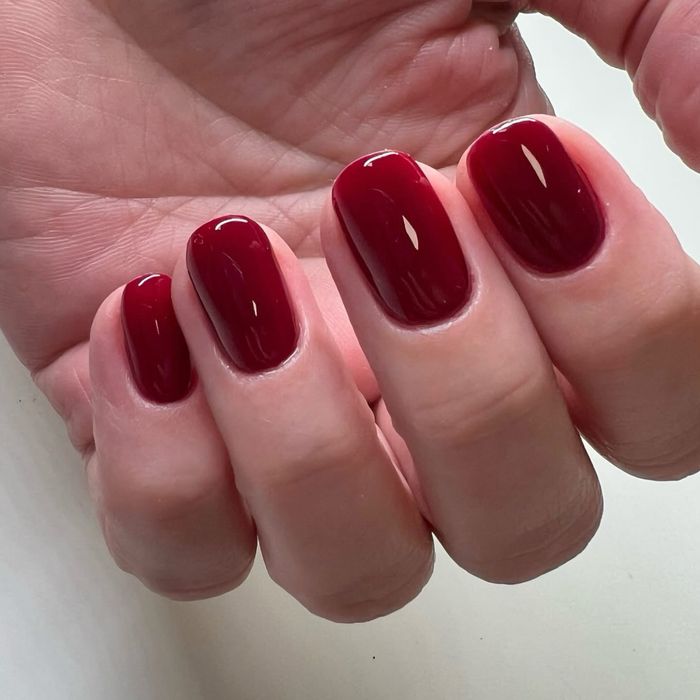 Manicure/Pedicure/ henna pudrowa/ Z dojazdem w Łodzi