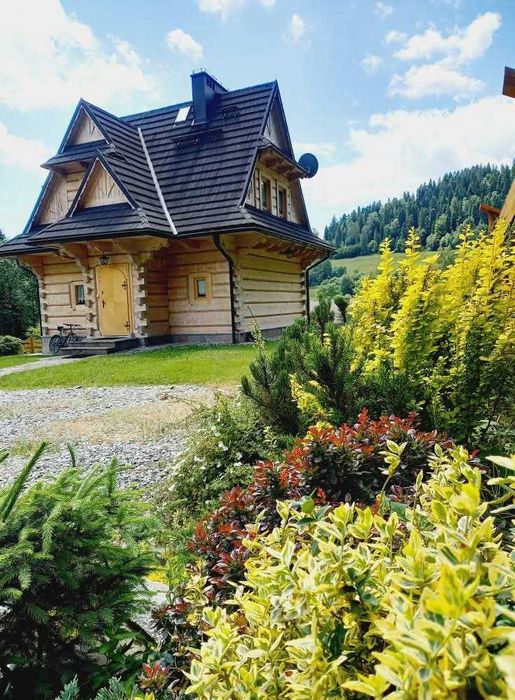 Apartament w górach