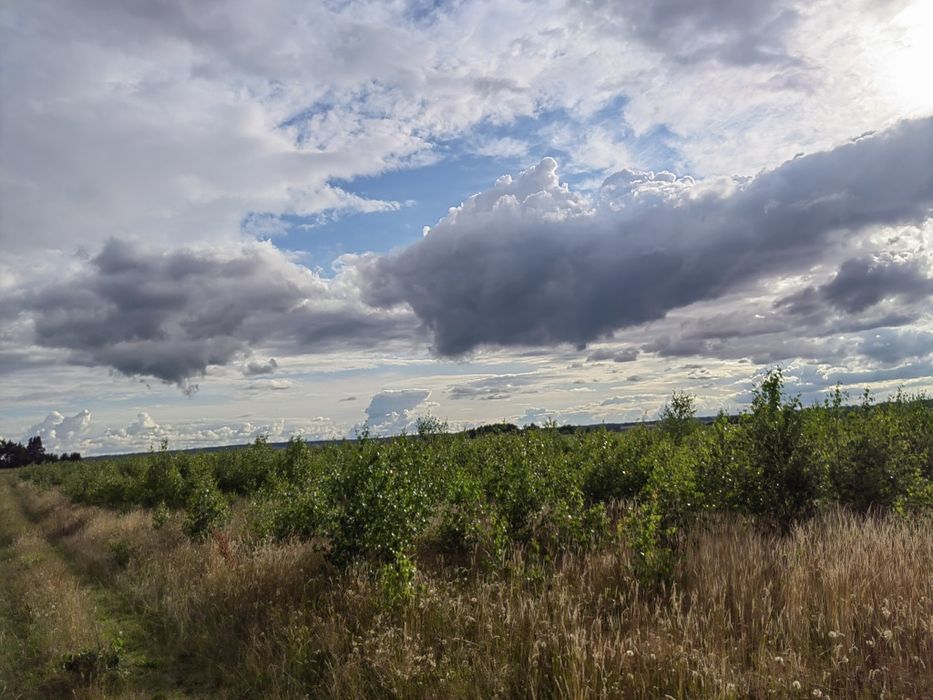 Działka budowlana w Strzelnie - Widok 4