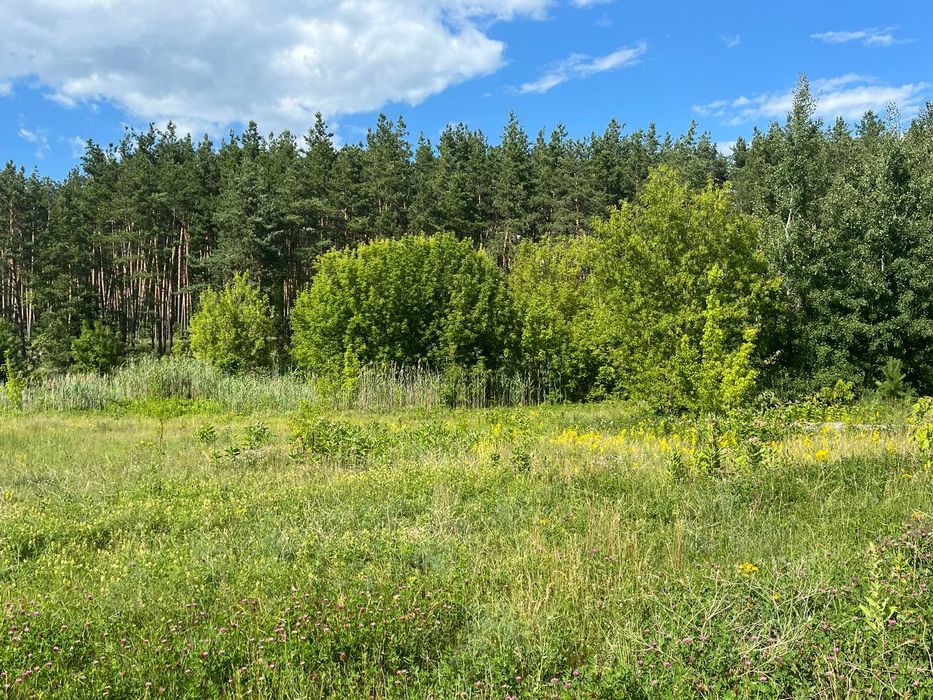 Пропонуємо до продажу земельну ділянку в с. Лозівок