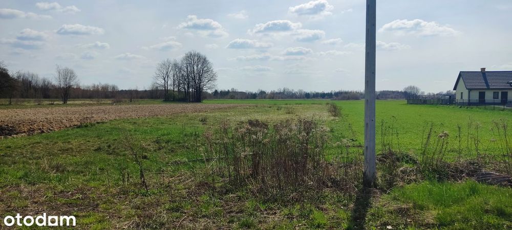 Działka budowlana 1351 m² - Piechoty gm. Padew Narodowa - Widok 6