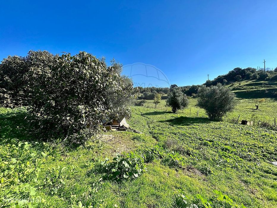 Terreno  para venda — Torres Novas (São Pedro), Lapas E Ribeira Branca, Santarém