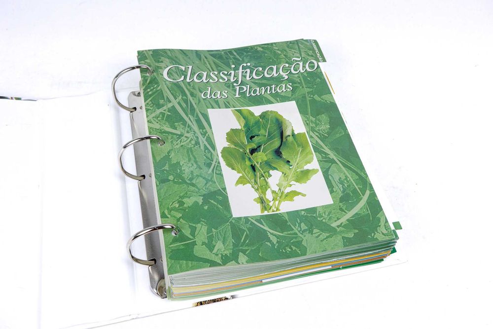 Livro Os Segredos das Plantas