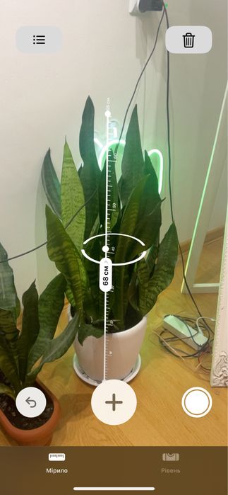 Синсевʼєра (квітне) разом з горщиком