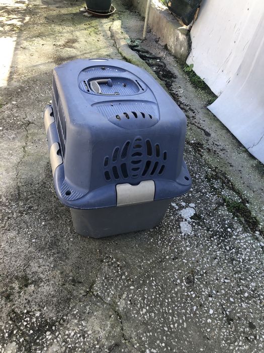 Vendo transportadora