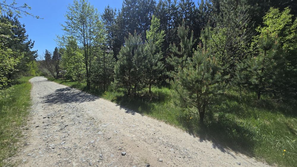 Дениші 17,5 сот. під забудову.(26161757)