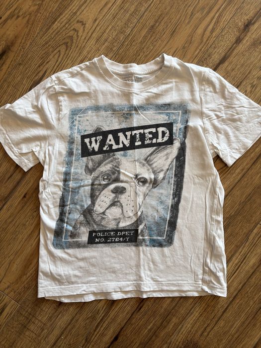 Koszulka chłopięca rozm.146 Coccodrillo