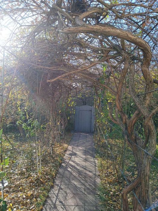 Продам будинок 2004го року побудови в с. Красне 1, Обухівського р-ну!