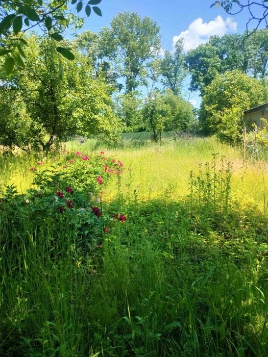 Продам  приватизовану земельну ділянку і дачу