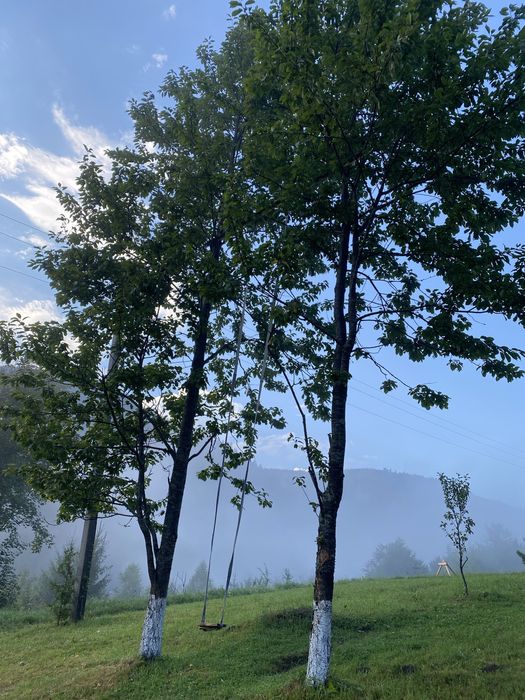 Будинок з чаном  Kosivchik