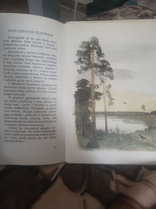 Książka Leśne obrazki Iwan Sokołow-Mikitow