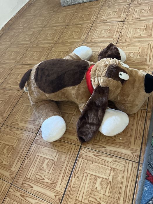 Cao de peluche  castanho