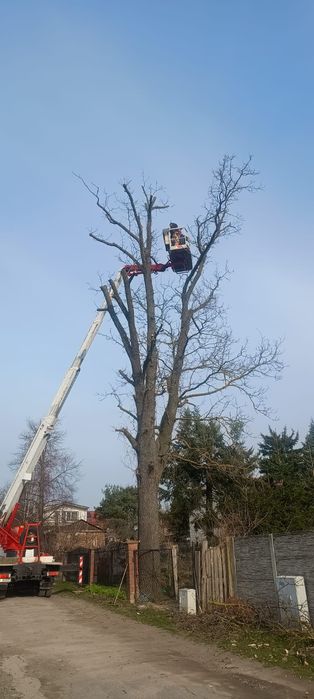 Podnośnik koszowy Odśnieżanie dachów zwyżka Wycinka drzew rębakowanie