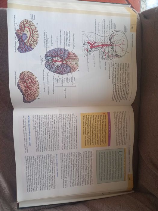 Livro de anatomia e fisiologia