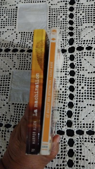 Lote de dois livros colecção Harlequin. Portes incluídos