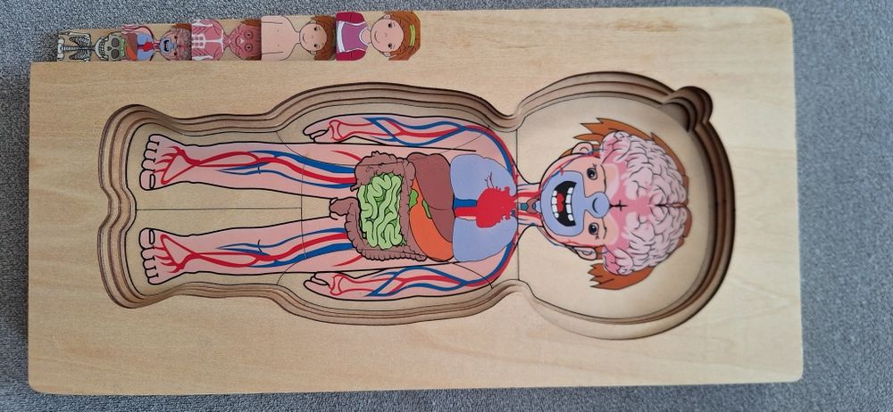 Drewniana układanka edukacyjna Ciało, anatomia człowieka- dziewczynka