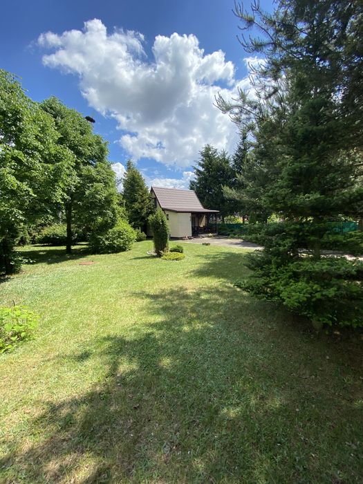 Działka budowlana Cieksyn 1000 m² - Widok 3