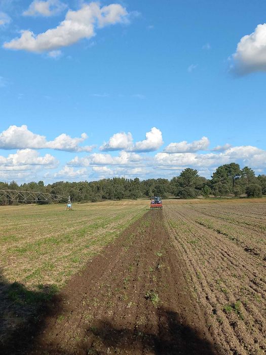 Limpeza de terrenos + Limpeza de fossas + Serviços agrícolas