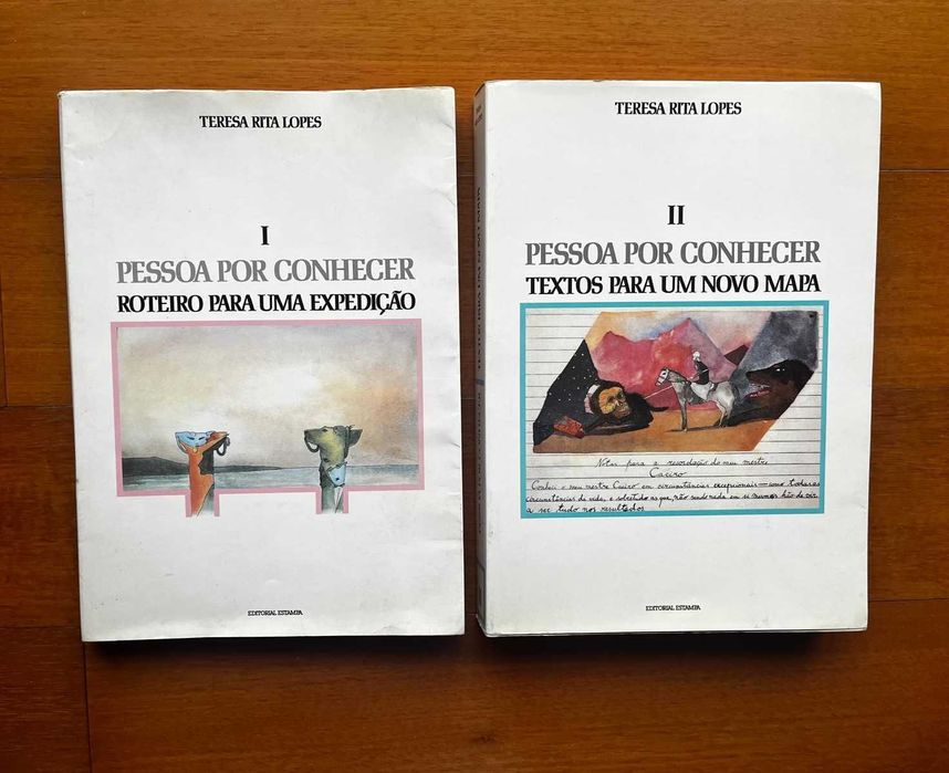 "Pessoa Por Conhecer" de Teresa Rita Lopes
