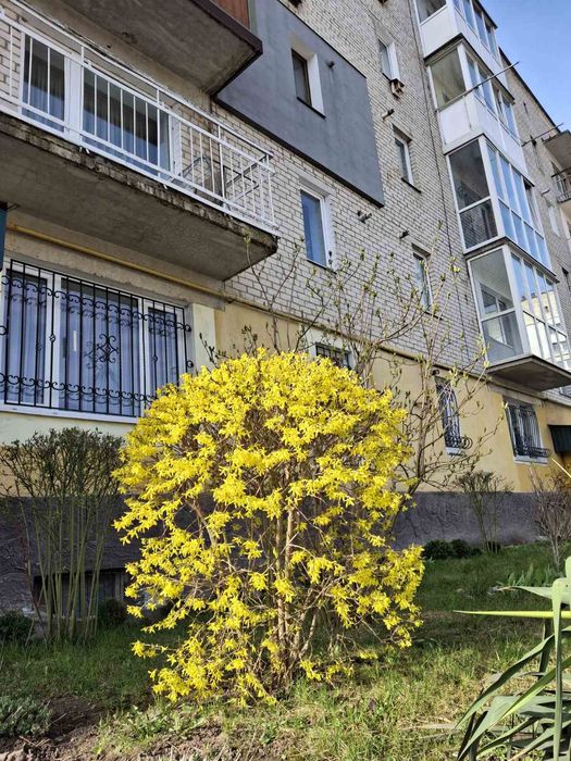 Продаж 3-кімнатної квартири у м.Кременець