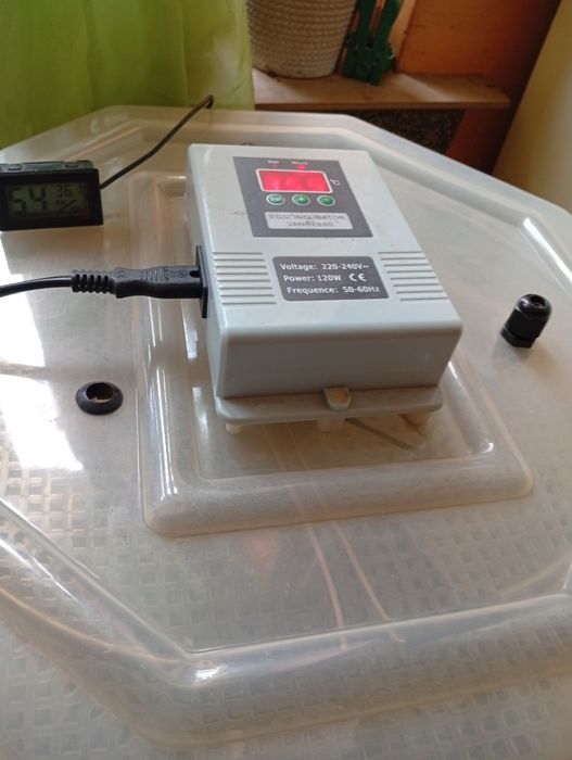 Inkubator do lęgu drobiu