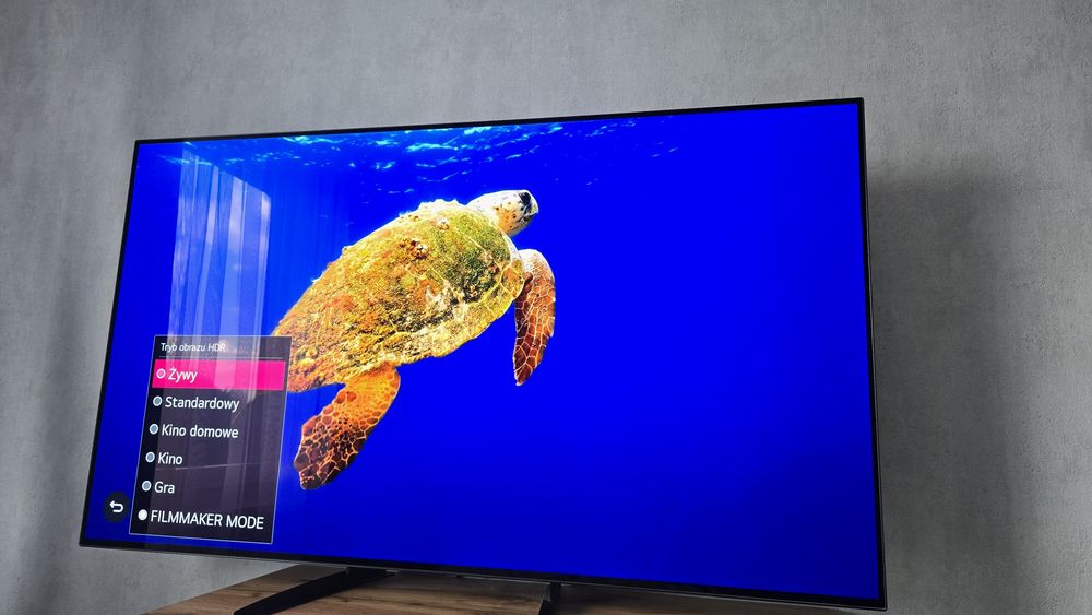 Telewizor OLED LG 55BX3LB po KALIBRACJI - minimalnie wypalony