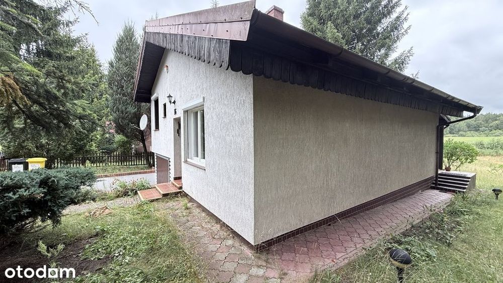 dom nad jeziorem przy lesie
