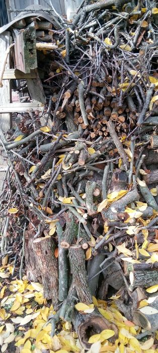 Дрова фруктовых деревьев 2000 грн