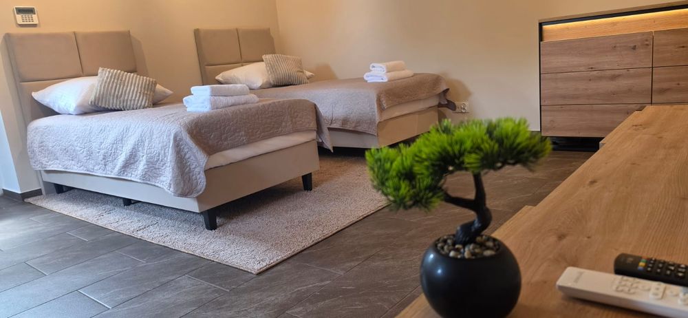 Apartament Breakpoint Loft w Łobzie do wynajęcia
