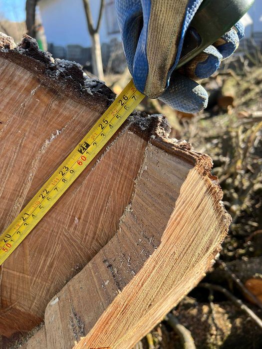 Стовбур груші великий, 4.5 м / 67 см