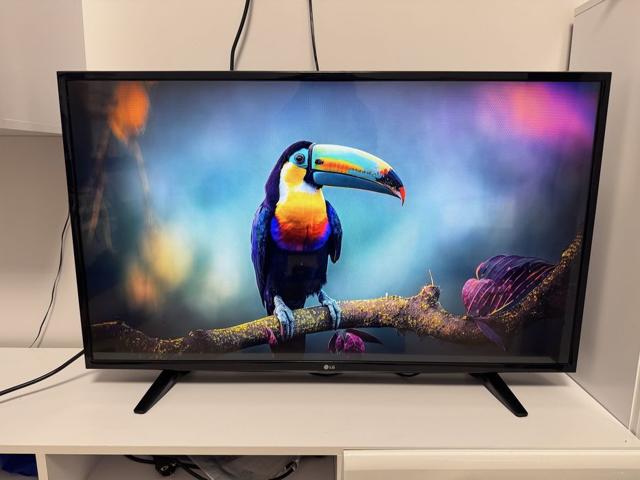 Телевізор LG 43LF510V
