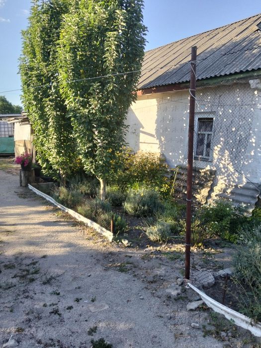 Продам будинок в с.Підгайці